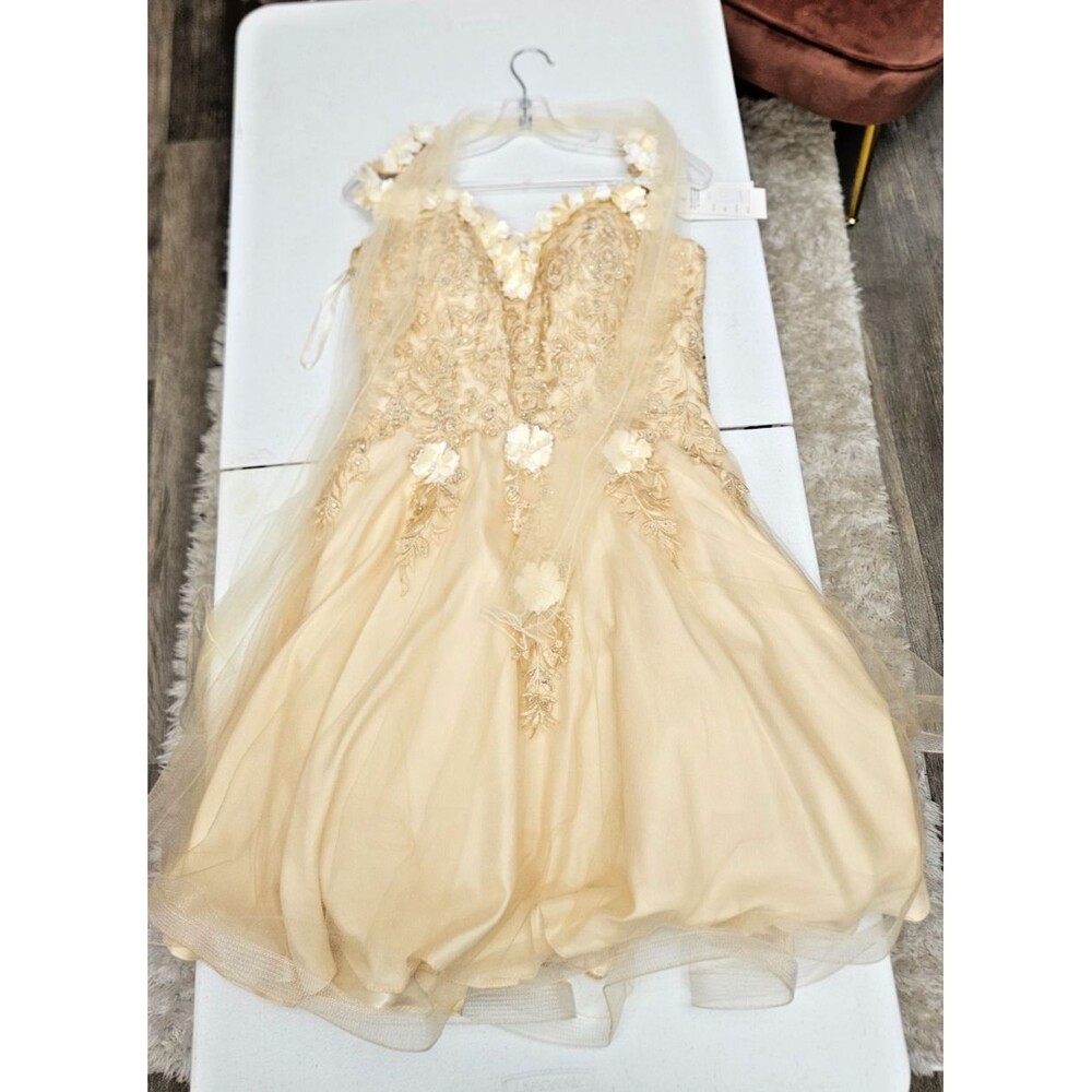 NWT Anny Lee Tan Sleeveless V Neck Embroider A Line Zipper Women's Dress Size L
